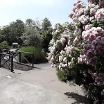 La Rosa Antica Dell'etna * Puntalazzo