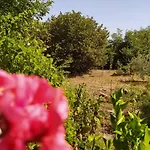 Vakantiehuis La Rosa Antica Dell'etna *