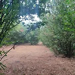 La Rosa Antica Dell'etna Vakantiehuis *