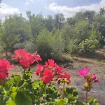 La Rosa Antica Dell'etna Vakantiehuis
