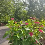 La Rosa Antica Dell'etna Vakantiehuis *