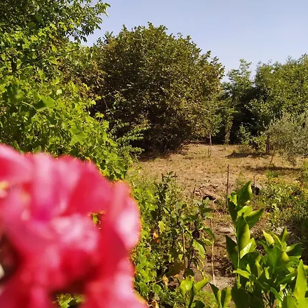 펜션 La Rosa Antica Dell'etna *