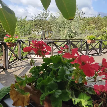 펜션 La Rosa Antica Dell'etna