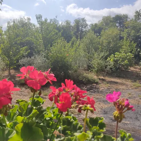 La Rosa Antica Dell'etna 펜션